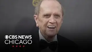 Bob Newhart honored with honorary street name outside Chicago building his show made famous