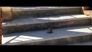 Test Tracking Camera After Effects CS6