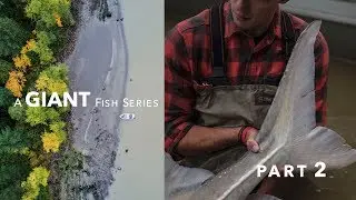 20 FEET of FISH! (HIGH STAKES)