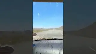 I don&rsquo;t know where they&rsquo;re driving, but it should be in the opposite direction 🦟😳#radtrip #locust