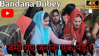 जमी गए जनाना एक पेड़ रे 🌳 | लालनवा बंधना दुबे का Viral Sunday गीत | Studio Version