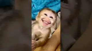 Baby Monkey Drinks Milk & Smiles Like a Real Baby