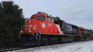 Canadian National  -  Westbound Stack Train 