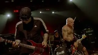 Cro-Mags at the Observatory 043024