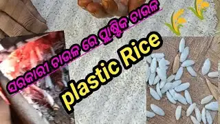 ସରକାରୀ ଚାଉଳ ରେ ପ୍ଲାଷ୍ଟିକ ଚାଉଳ | plastic in govt rice | #government | #viralvideo ,#gajapatikhabar |