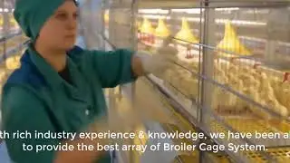 Amazing Modern Chicken Harvest Automatic Machines Process, This Tools Save for Farm Million Dollar