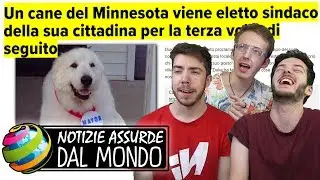 UN CANE ELETTO SINDACO... PER 3 VOLTE! - Notizie assurde dal mondo #16