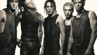 Nine Inch Nails 1994.08.27 Auditorium Theater Rochester NY Full Show Audio Only