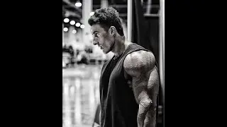 SADIK HADZOVIC  MASS BUILDING ARM WORKOUT !!