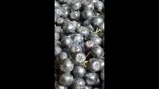 Aronia - chokeberry natural remedies #Shorts