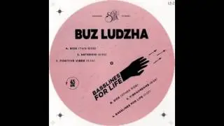 Buz Ludzha - Positive Vibes