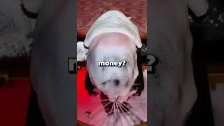 Сестра забрала деньги из моей комнаты и потратила их на себя. Она думала, я расплачусь...