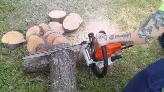 Me Terrie Dakota practicing cutting a medium to think tree limb log, here in my home town Denton Tex