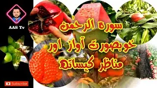 Sora e Rahman with beautiful voice and scene