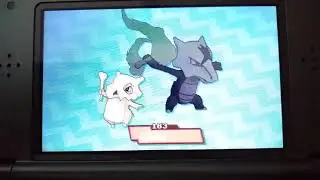 Cubone Evolves (November 8, 2019)