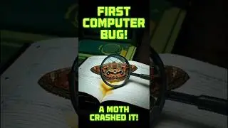 A MOTH Broke the First Computer?! 🐞💾 windows 10 #shorts #didyouknow