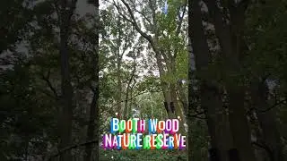 Booth Wood Nature Reserve #loughborough #woods #naturereserve