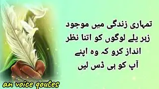 Aurat Ke Mummy Choosney Ke 3 Barey Faidey || Urdu Quotes || Woman Quotes | anvoice Qoutes