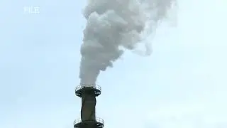 Belize Builds Caribbean&rsquo;s First Sugar Refinery