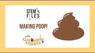Making Poop - Digestion - SciFiles x Flavourful Science