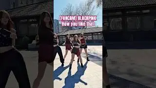 [FANCAM | Rina as Lisa] BLACKPINK - How you like that