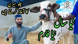 Bakra Eid 2021 SEASON Ka Aaghaz Alpha Cattle Farm Ki Beauties Ke Sath | Cattle Market Karachi 2021