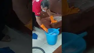 how to clean sofa #sofa #cleaning #nobroker #ytshorts #yt #youtubeshorts #viral #trending