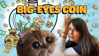 Big Eyes Coin| Potential GEM| LAST STAGES LEFT