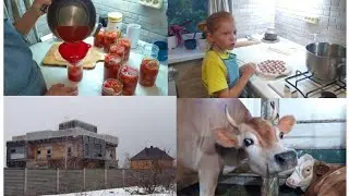 КАК МЫ ДОМ ПОКУПАЛИ!🙈🤱🌱🤗🐄🥫