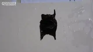 Identifying Egg Cases