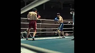 bloodhounds geonwoo #geonwoo #bloodhounds#like #shorts #fyp #subscribe #bloodhound
