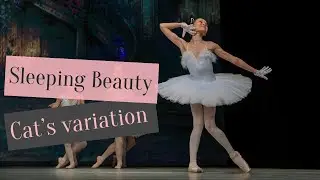 Sleeping Beauty - Cat's Variation | Guoste Rudinskaite Ballet Performance