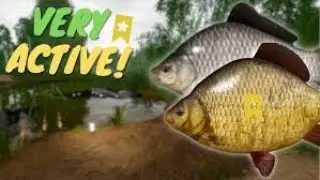 Russian Fishing 4 ┃ Mosquito Lake Active Spot