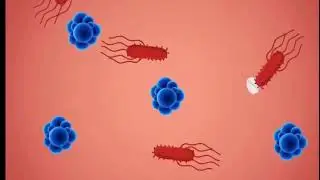 Awareness of AMR|Explained video| animated video| Easy to understand 