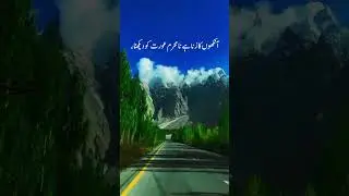Zena #viral #duet #quran #allahuakbar #zena #shorts #islamicvideo #miracleofallah #music