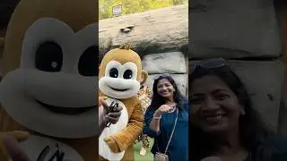 Emirates Park Zoo #dance #animals #enjoy #tamil #cartoon #uae