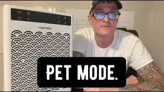 Best Air Purifier for Pets & Large Rooms? I Tested This One