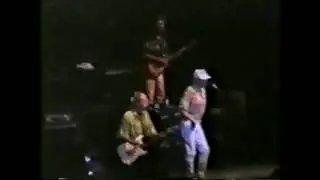 The Beach boys Live '90　Island Girl