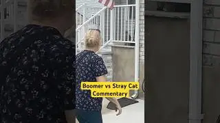 Boomer vs Stray Cat Funny TikTok 😂😂😂 #shorts #funny #comedy #memes #tiktok #cat