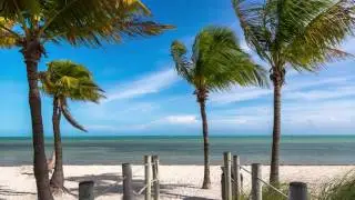Florida Wineries