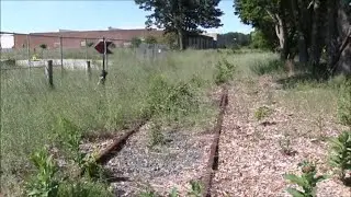 Bay Colony Millis Line current conditions June/July 2022