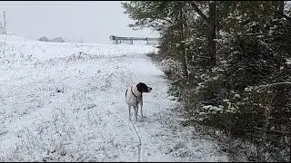 Snowy Guardrail Inspection and Hike