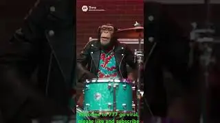 &ldquo;Just some Apes playing RockABilly music down the Las Vegas strip &ldquo;￼ #funny #music #funnyvideo
