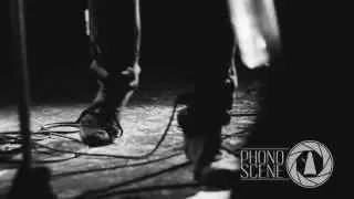 PHONOSCENE #1 // BIRDS IN ROW // YOU, ME & THE VIOLENCE