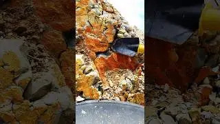 gold bullion discovery #gold #goldcollector #golddigging