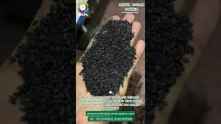 Best Color Sorter for Black Sesame Seeds | Black Sesame Sorting | Best Sortex for Small Commodity