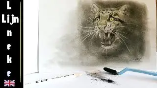Easy LEOPARD for beginners charcoal drawing