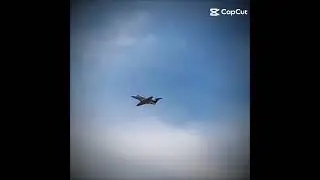 AEROPORTO DE GOI&Acirc;NIA @001ART
