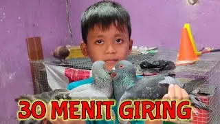 JODOHIN BURUNG BANDANGAN LANGSUNG GIRING 