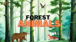 Forest Animals 🐻 🌲🦉 - Read Aloud, Read Along 🎶 Short Story